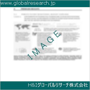 グローバルリサーチ調査資料のイメージ